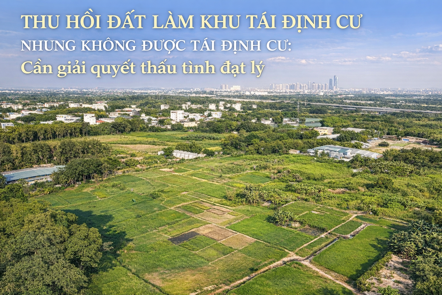 Luật sư V&igrave; Ch&acirc;n L&yacute; Themis